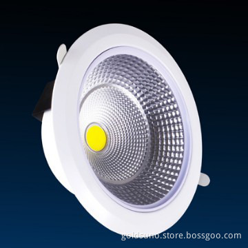 25W COB LED DOWN LIGHT, 8 INCH, HIGH QUALITY, CE, ROHS APPROVED